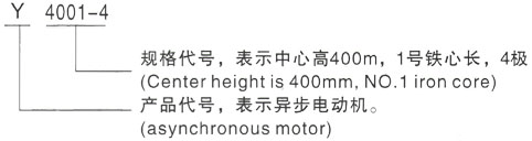 西安泰富西玛Y系列(H355-1000)高压醴陵三相异步电机型号说明