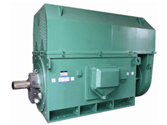 醴陵Y系列6KV高压电机生产厂家